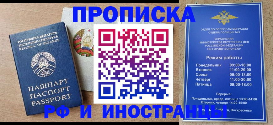 пропишу в квартире в Бабаево